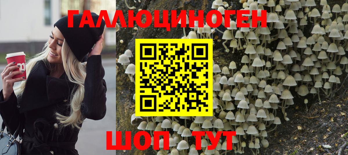 Назарово  где найти наркотики  Вход с VPN  Галлюциногенные грибы GOLDEN TEACHER 