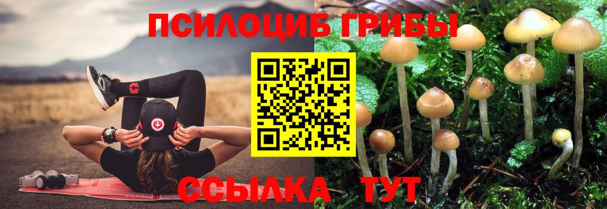 Галлюциногенные грибы прущие грибы Назарово